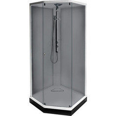 Душевая кабина IDO Showerama 8-5 100x100x220 cм, профиль серебристый, тонированное стекло (4985113010)