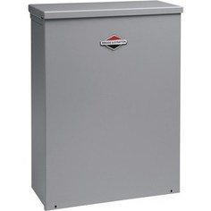 АВР Briggs and Stratton 100A (071060)