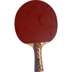 Ракетка для настольного тенниса Donic Testra AR