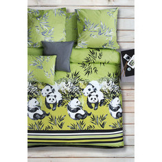 Комплект постельного белья Сова и Жаворонок 2-х сп, поплин, Зеленый чай, n70