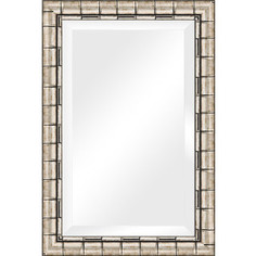 Зеркало с фацетом в багетной раме Evoform Exclusive 63x93 см, серебрянный бамбук 73 мм (BY 1176)