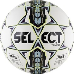 Мяч футбольный Select Tempo 810416-003 (р.5)