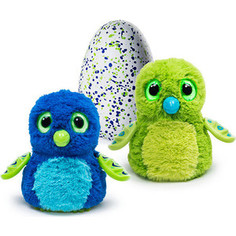 Интерактивный питомец Hatchimals Дракоша зеленый, вылупляющийся из яйца (1 игрушка)