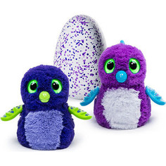 Интерактивный питомец Hatchimals Дракоша фиолетовый, вылупляющийся из яйца (1 игрушка)