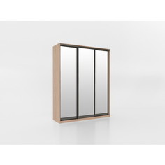 Шкаф-купе Престиж-Купе Рико 3-х дверный р-624230