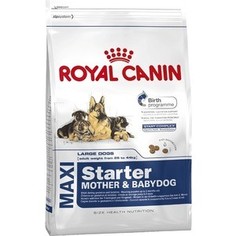 Сухой корм Royal Canin Maxi Starter Mother & Babydog для щенков крупных пород до 2-х месяцев, беременных и кормящих собак 4кг (191040)