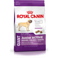 Сухой корм Royal Canin Giant Junior Active для щенков очень крупных пород с высокими энергетическими потребностями 15кг (198150)