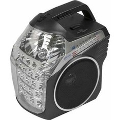 Радиоприемник Ritmix RPR-505