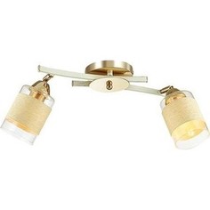 Спот Lumion 3029/2CA