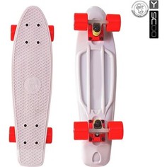 RT 401-G Скейтборд Fishskateboard 22 винил 56,6х15 с сумкой GREY/red