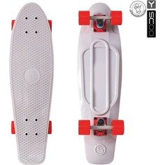 RT 402-Gr Скейтборд Big Fishskateboard 27 винил 68,6х19 с сумкой GREY/red