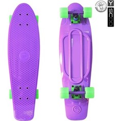 RT 402-Pr Скейтборд Big Fishskateboard 27 винил 68,6х19 с сумкой PURPLE/green