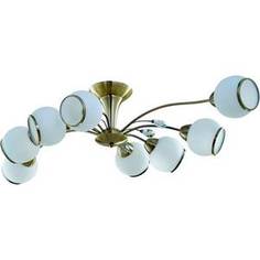 Потолочная люстра IDLamp 830/8PF-Oldbronze