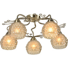 Потолочная люстра IDLamp 286/5PF-Oldbronze