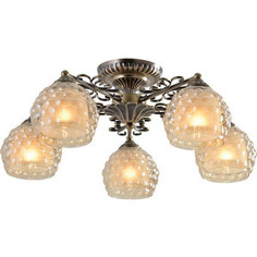 Потолочная люстра IDLamp 285/5PF-Oldbronze