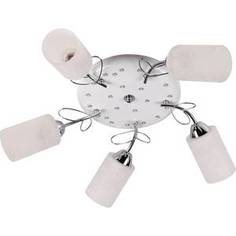 Потолочная люстра IDLamp 841/5PF-LEDWhitechrome