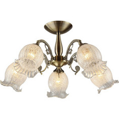 Потолочная люстра IDLamp 288/5PF-Oldbronze