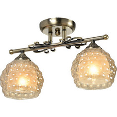 Потолочная люстра IDLamp 285/2PF-Oldbronze