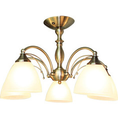 Потолочная люстра IDLamp 273/5PF-Oldbronze