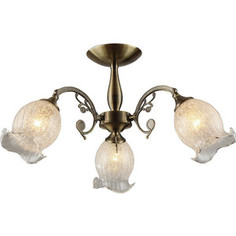 Потолочная люстра IDLamp 288/3PF-Oldbronze