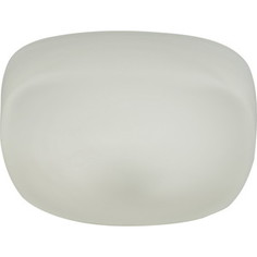 Потолочный светодиодный светильник IDLamp 266/20PF-LEDWhite