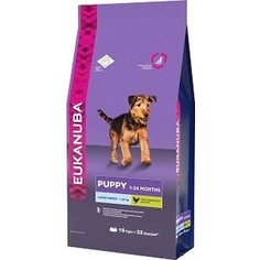 Сухой корм Eukanuba Puppy Large Breed with Chicken с курицей для щенков крупных пород 15кг
