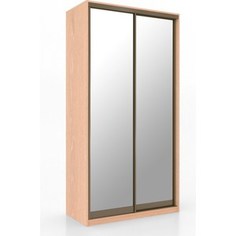 Шкаф купе Престиж-Купе Эко 2-х дверный p-24234