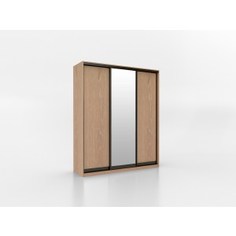 Шкаф купе Престиж-Купе Эко 3-х дверный p-24280