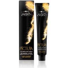 HAIR COMPANY PROFESSIONAL HC IC PICTURA Coloring Soft Cream 1 Мягкая крем-краска Чёрный