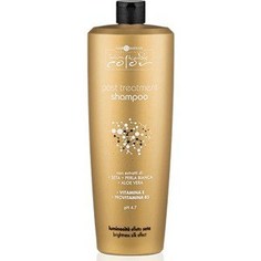 HAIR COMPANY PROFESSIONAL INIMITABLE COLOR Post Treatment Shampoo Шампунь для волос 1000мл