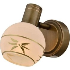 Спот Toplight TL3790Y-01AB