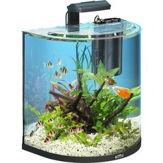 Аквариумный комплекс Tetra AquaArt LED Explorer Line Tropical с LED освещением Полумесяц 60л