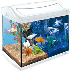 Аквариумный комплекс Tetra AquaArt LED Discover Line Goldfish с LED освещением день / ночь для содержания золотых рыбок 20л