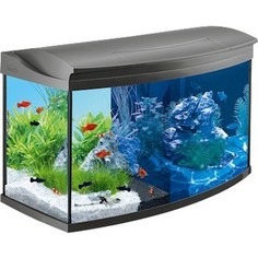 Аквариумный комплекс Tetra AquaArt LED Evolution Line с LED освещением день / ночь 100л