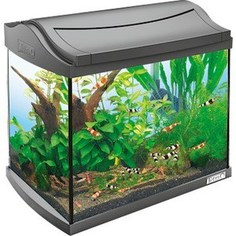 Аквариумный комплекс Tetra AquaArt Discover Line Shrimps для содержания креветок 20л