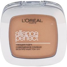 LOREAL PERFECTION Alliance Perfect Пудра для лица тон D5