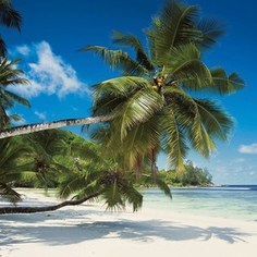 Фотообои Komar Coconut Bay (3,68х2,54 м) (8-310)