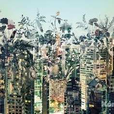 Фотообои Komar Urban Jungle (3,68х2,54 м) (8-979)