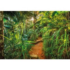Фотообои Komar Jungle Trail (3,68х2,54 м) (8-989)