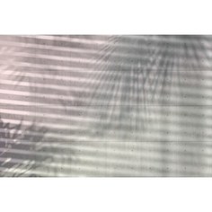 Фотообои Komar Shadow (3,68х2,48 м) (XXL4-059)