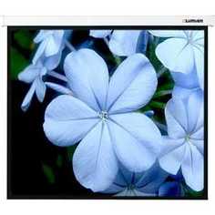 Экран Lumien Master Picture LMP-100102