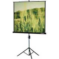 Экран Lumien Master View LMV-100107