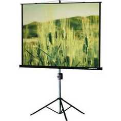 Экран Lumien Master View LMV-100109