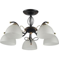 Потолочная люстра IDLamp 554/5PF-Blackpatina