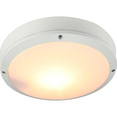 Уличный потолочный светильник Artelamp A8154PF-2WH