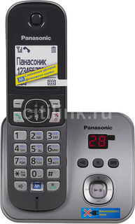 Радиотелефон PANASONIC KX-TG6821RUM, серый металлик