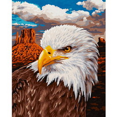 Картина по номерам Schipper 24х30 см, Белоголовый орлан