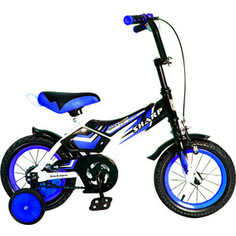 RT KG1210 2-х колесный велосипед BA Sharp 12, 1s (синий)