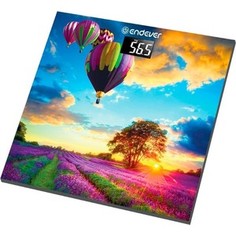 Весы Endever Aurora-551