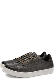 Кеды из кожи крокодила на шнуровке Dami